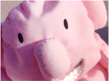 Boneless Chuck Smiling